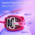 Load image into Gallery viewer, Cutaway of the pump suction unit showing motor, suck-in and blow-out valves