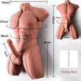 Load image into Gallery viewer, Muscular male torso sex toy
