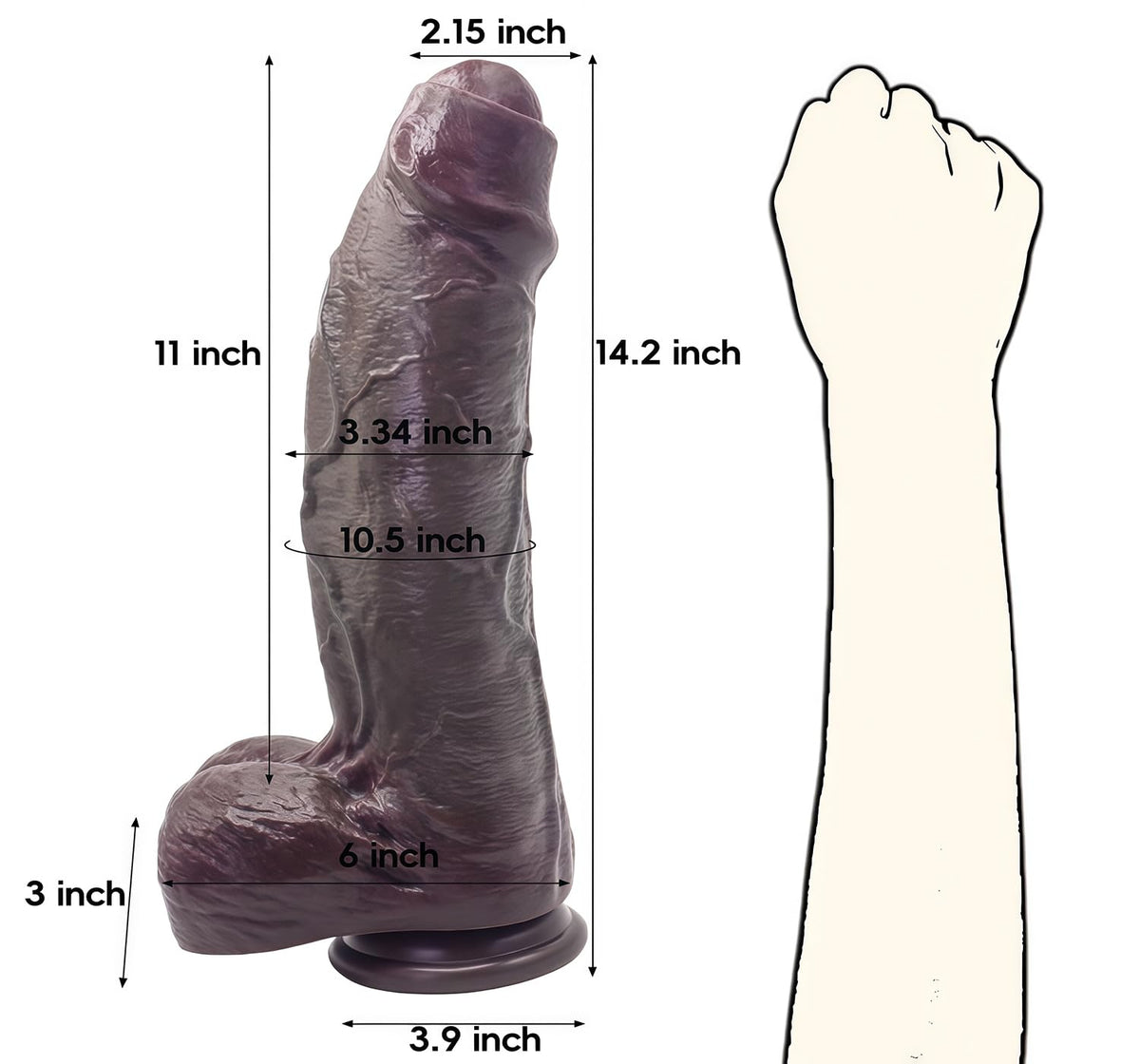 Dimension diagram for the black dong compared to a forearm